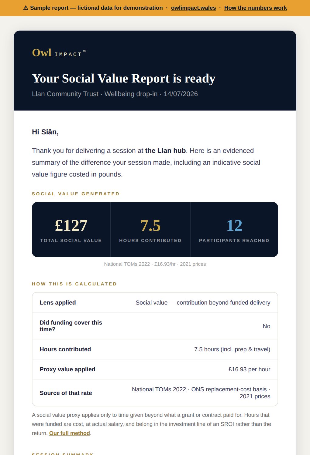 Sample social value report