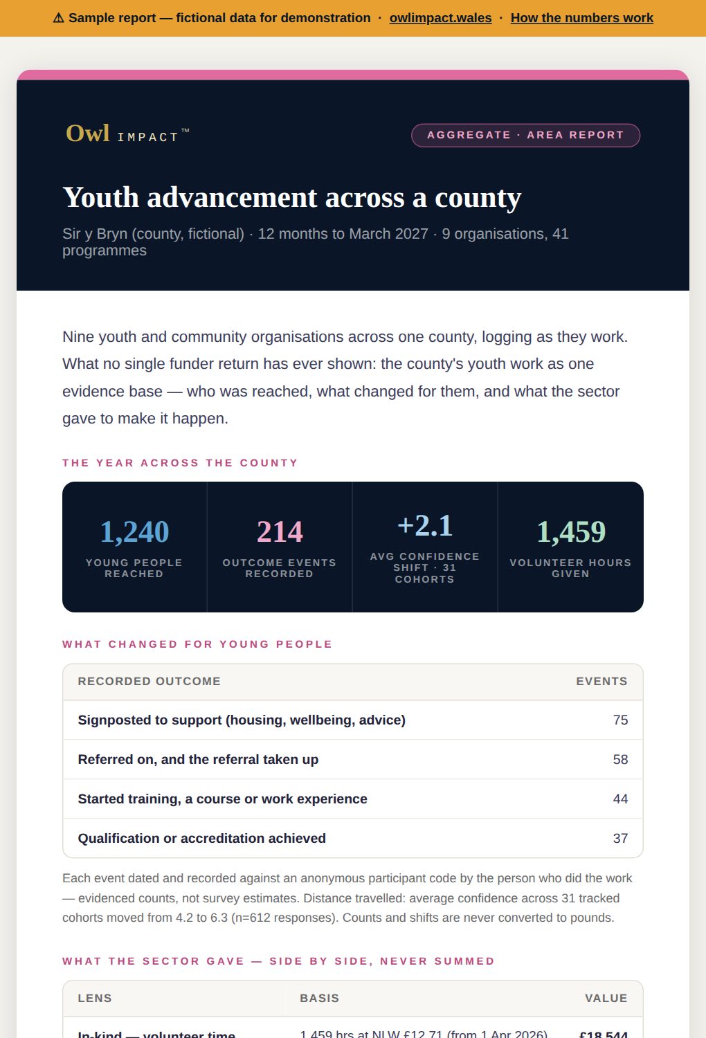 Sample county youth advancement report